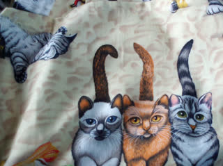 Cats Apron