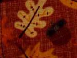 autumn-leaves-dog-collar-cover